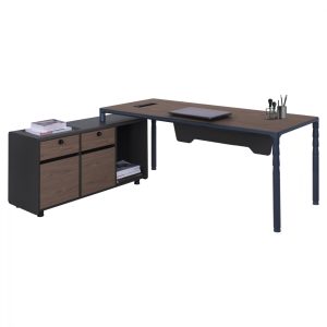 grafeio epaggelmatiko karydi aristeri go