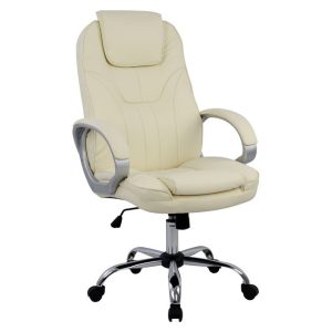 karekla grafeioy ekroy pu dieythyntiki m