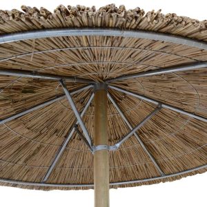 omprela psathini f210 me dachtylidi hm54 1