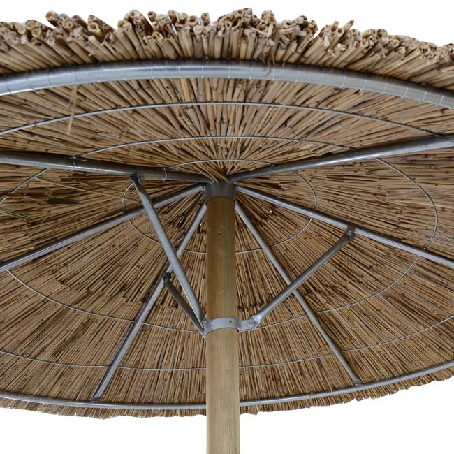 omprela psathini f210 me dachtylidi hm54 1 omprela psathini f210 me dachtylidi hm54 1