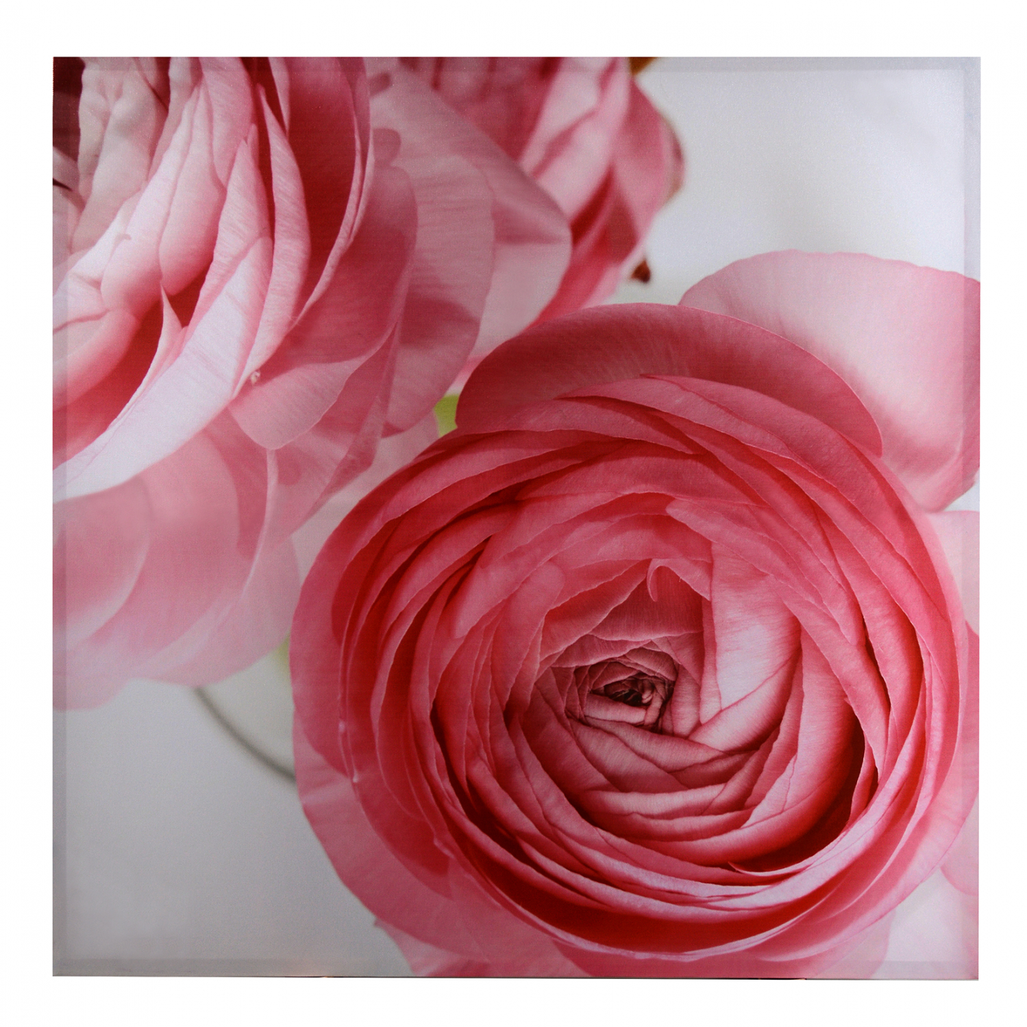 pinakas kambas 80x80x25ek rose hm7094 pinakas kambas 80x80x25ek rose hm7094