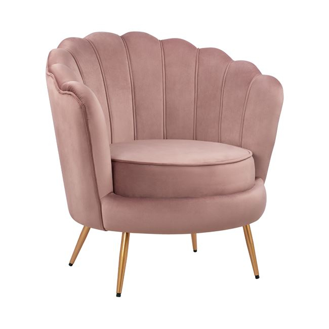 polythrona coquille apo beloydo sapio mi polythrona coquille apo beloydo sapio mi