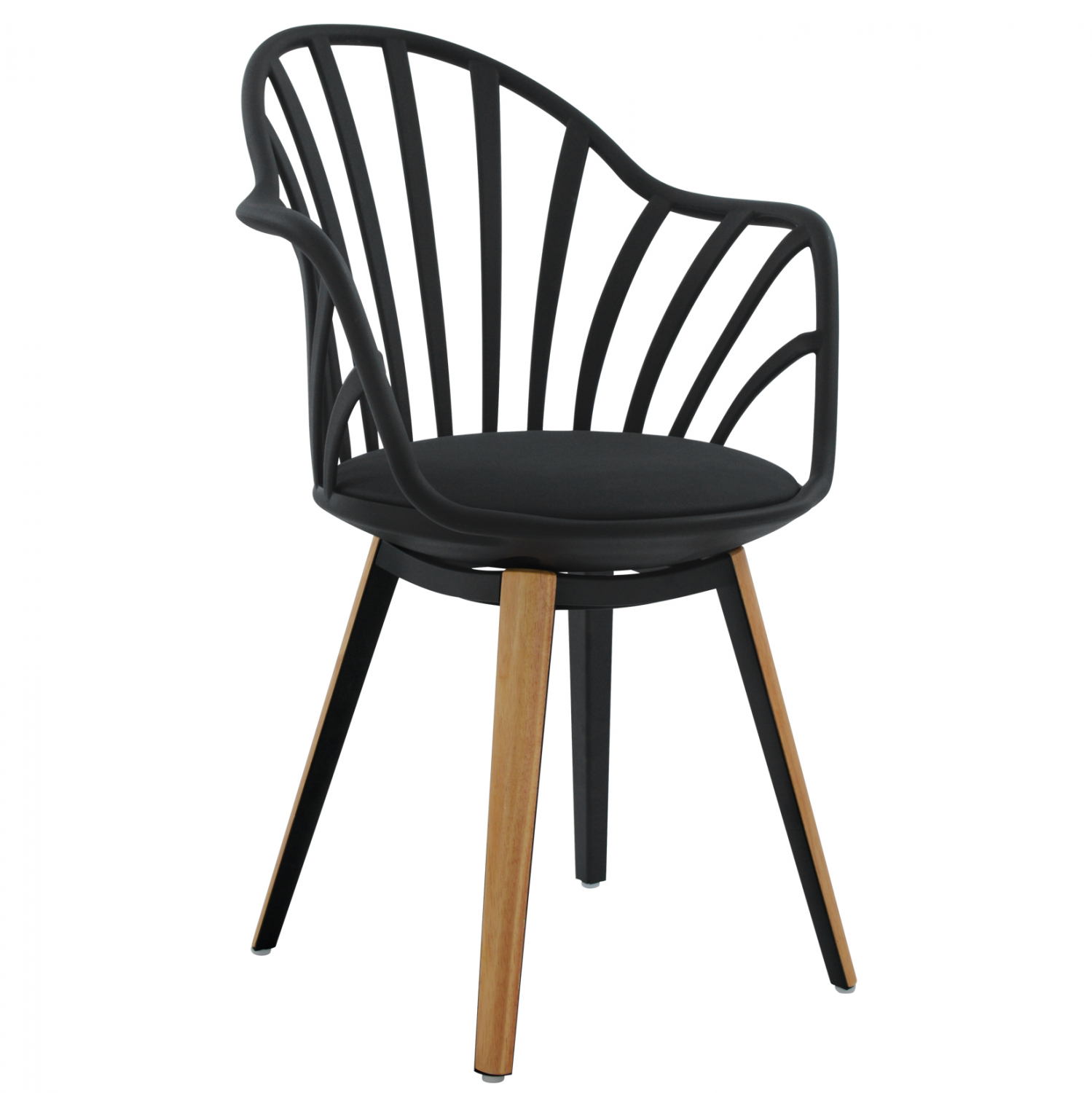 polythrona trapezarias fb9804902 mayri m polythrona trapezarias fb9804902 mayri m