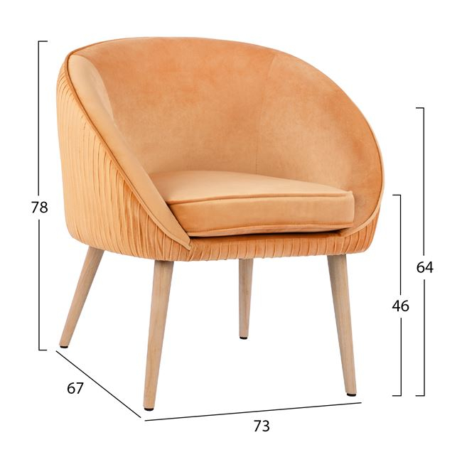 polythrona yajanti hm863309 apo chryso b 1 polythrona yajanti hm863309 apo chryso b 1