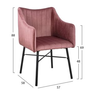 polythronaki allysa hm851802 apo beloydo 1