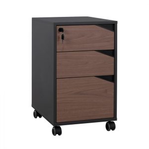 syrtariera grafeioy epaggelmatiki me rod