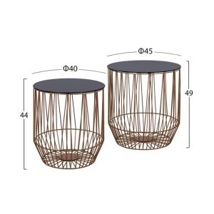 zigkon 2tmch cage hm8601 me gyalini epif 1